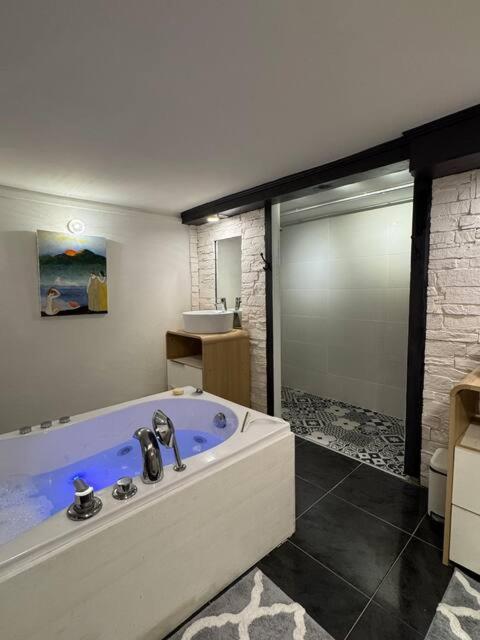 Loft Des Celestins * Vichy