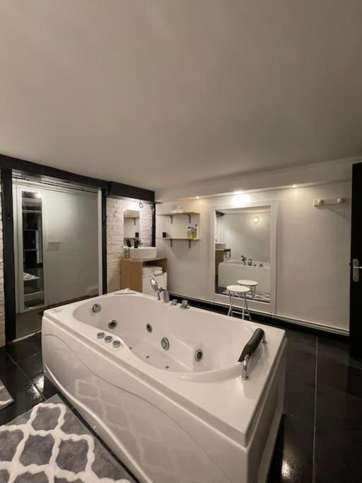 Loft Des Celestins Vichy