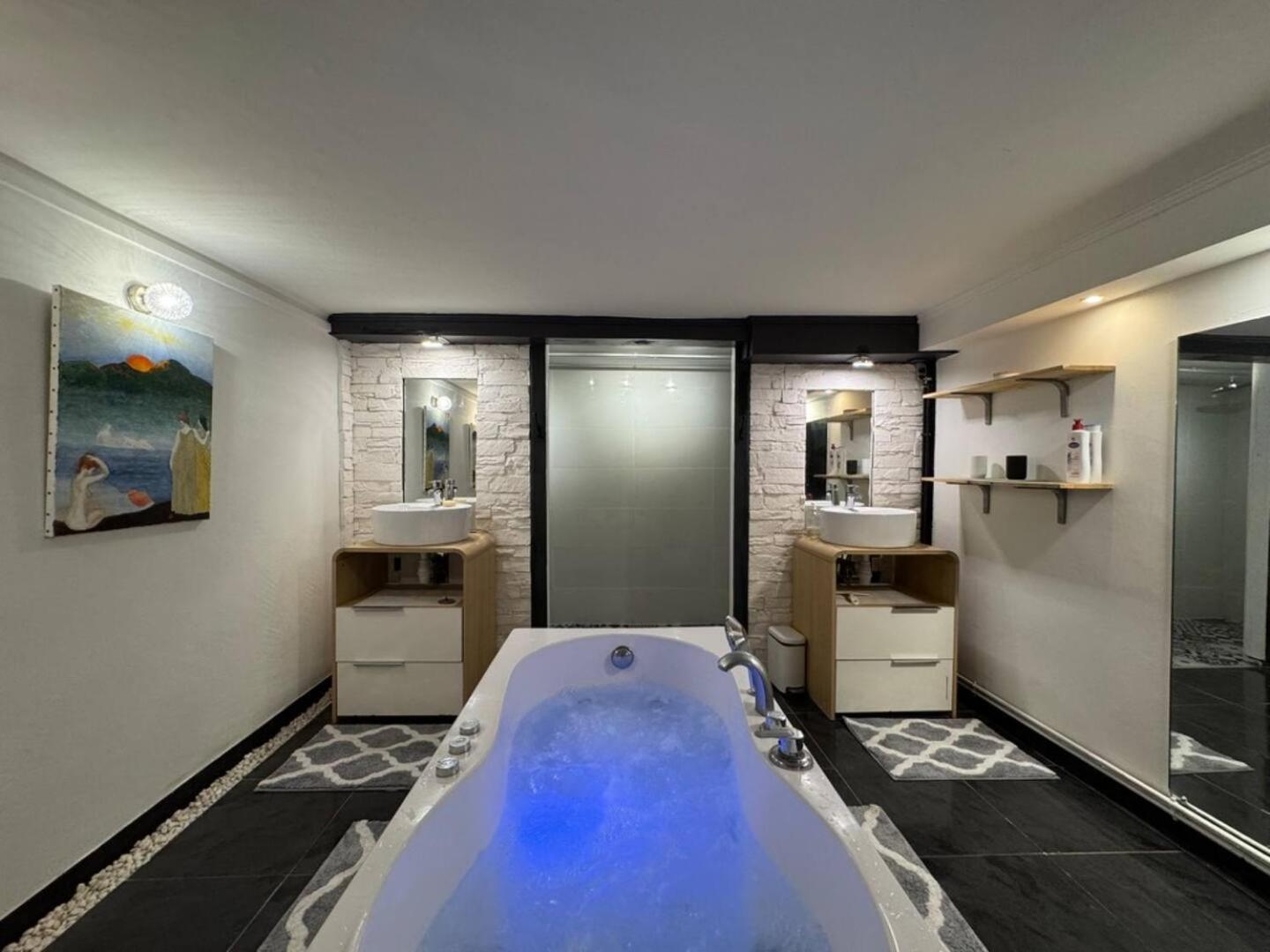 Appartement Loft Des Celestins
